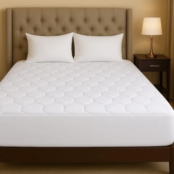 390e37b6784c45ad9036c43dde821bb8_tplv-t5fjg24jzw-origin-jpeg