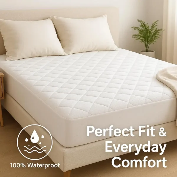 61eD2vZCZJL-_AC_SL1024