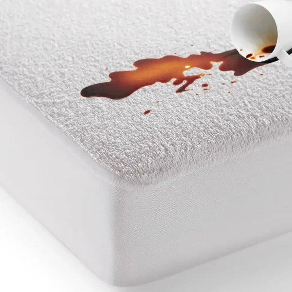 61nbL5am4FL-_AC_SL1070_8a404aac-a7ef-4b17-aa89-7c379ba68761